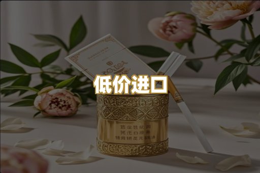 低价进口